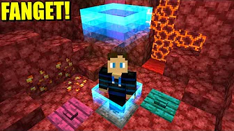 Kan jeg overleve i Nether imens jeg er FANGET af en Mini Border?