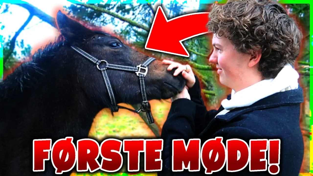 JEG SER MIN MINECRAFT HEST I VIRKELIGHEDEN FØRSTE GANG!! - Vlog