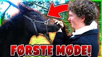 JEG SER MIN MINECRAFT HEST I VIRKELIGHEDEN FØRSTE GANG!! - Vlog