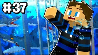 SHADYS KASTER MIG I ET HAJ BASIN! - Minecraft Vulkanen #37