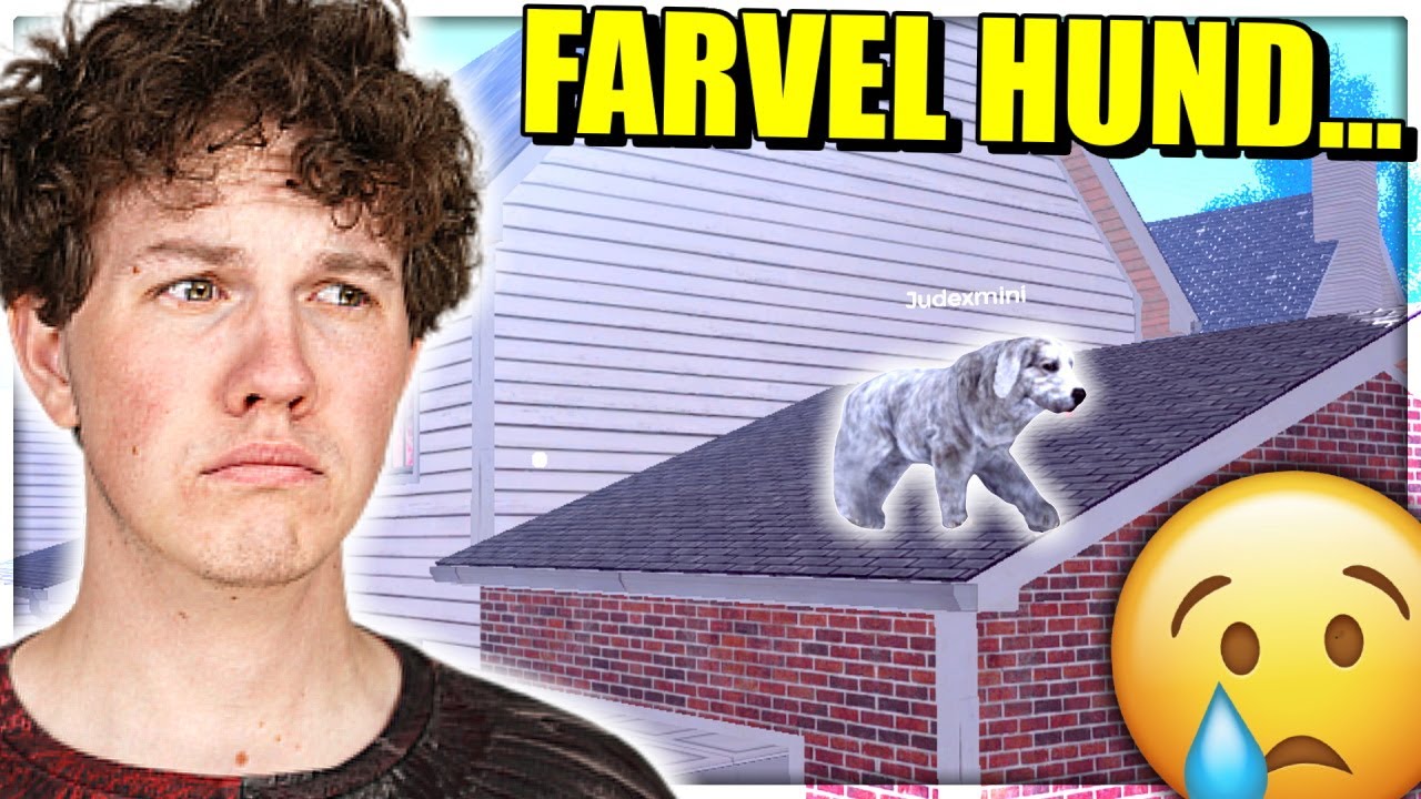 Jeg mistede min hund... - Dansk Streamer Life Simulator