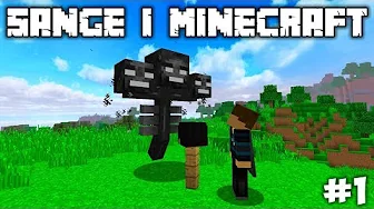 SANGE I MINECRAFT #1