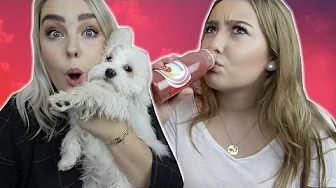 JANUAR FAVORITTER | Julia Sofia ♡