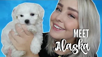 MEET MY PUPPY!! | Julia Sofia ♡