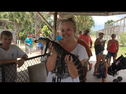 ♡ USA Vlog Part 6 - Tampa + Everglades! ♡