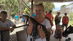 ♡ USA Vlog Part 6 - Tampa + Everglades! ♡