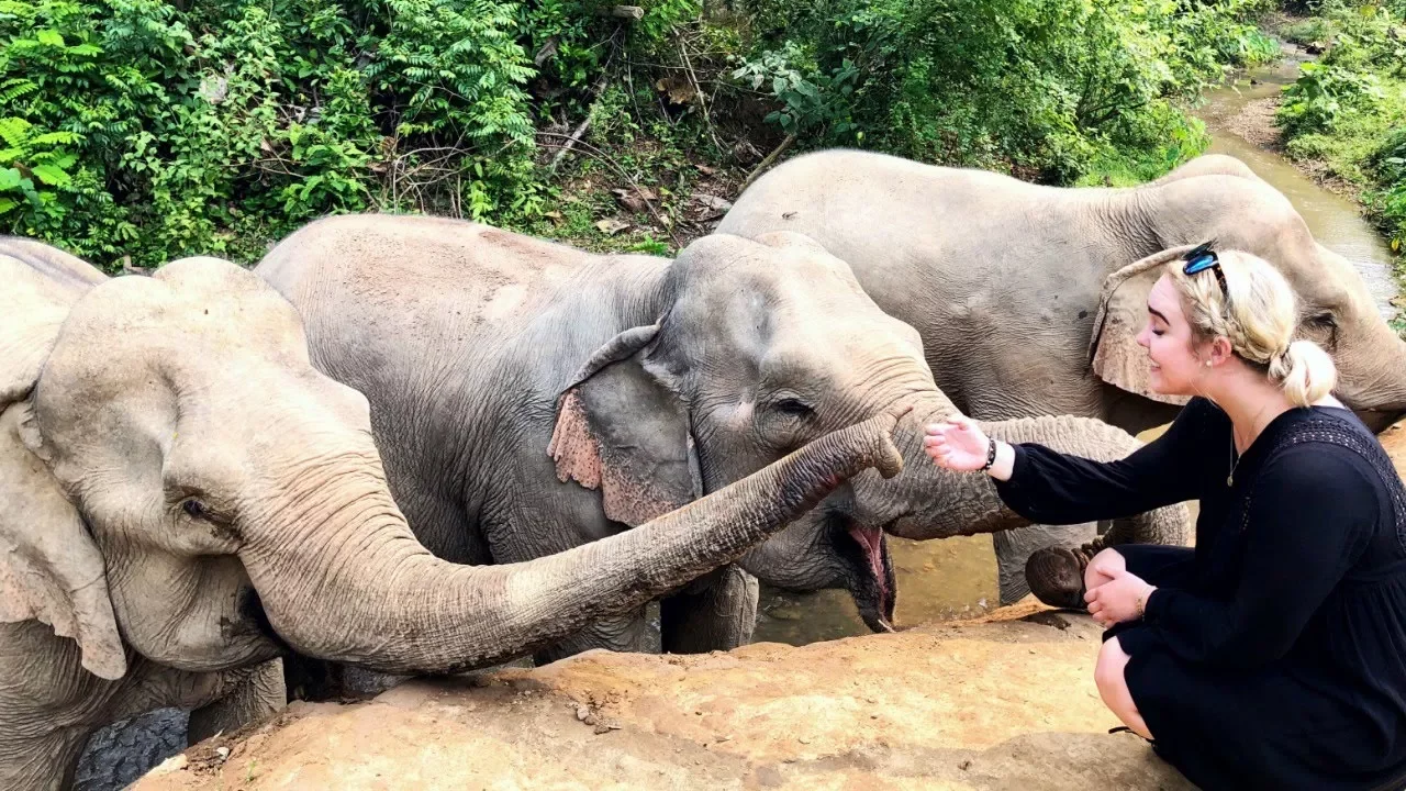 MIN 20 ÅRS FØDSELSDAG | Toolbox of Life ♡