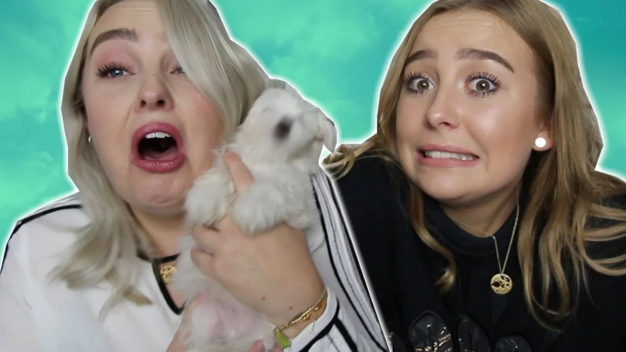 OKTOBER FAVORITTER | Julia Sofia ♡