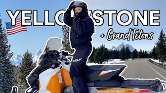 YELLOWSTONE OG GRAND TETONS | USA vlog #1 ♡