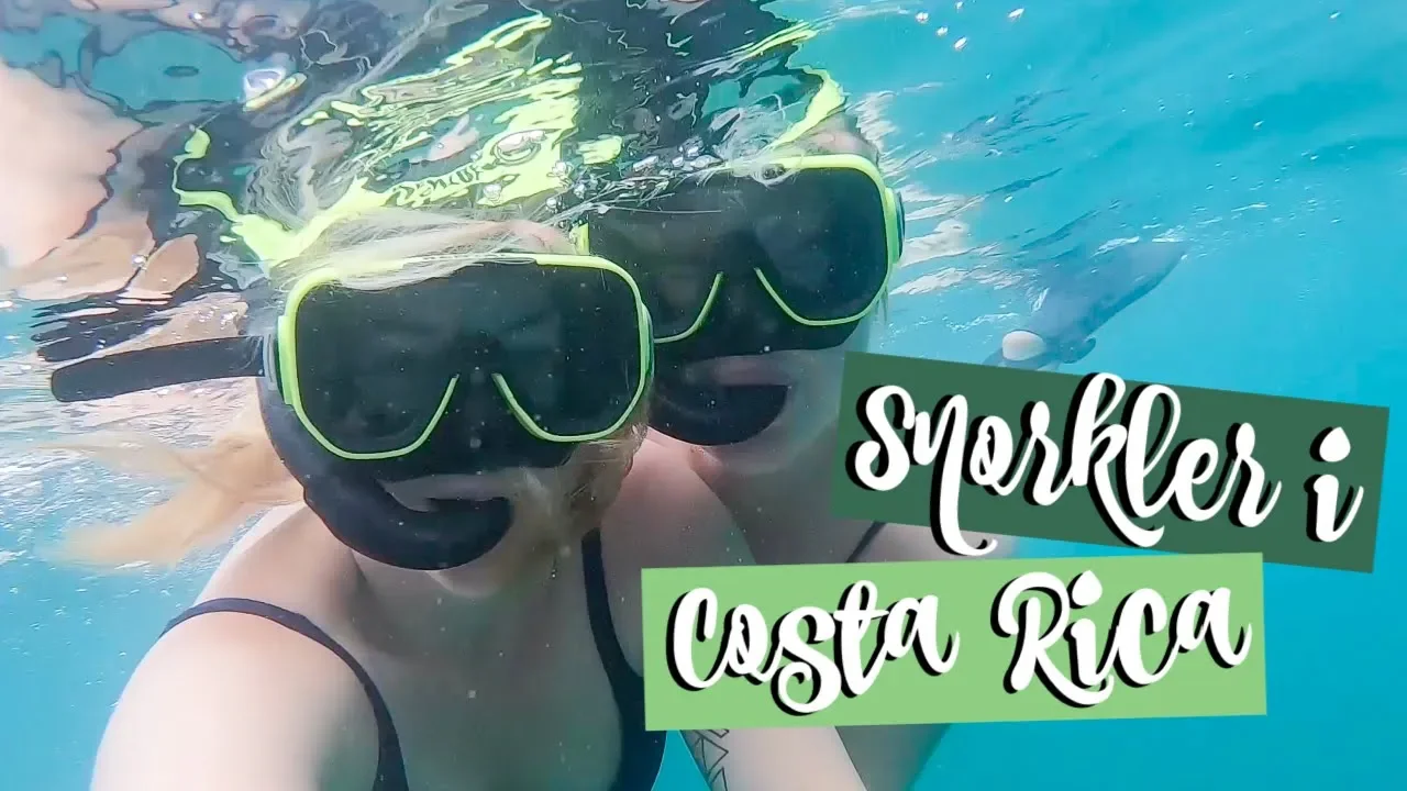 SNORKLER I COSTA RICA | Julia Sofia ♡ (Reklame/Inviteret)