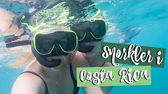 SNORKLER I COSTA RICA | Julia Sofia ♡ (Reklame/Inviteret)