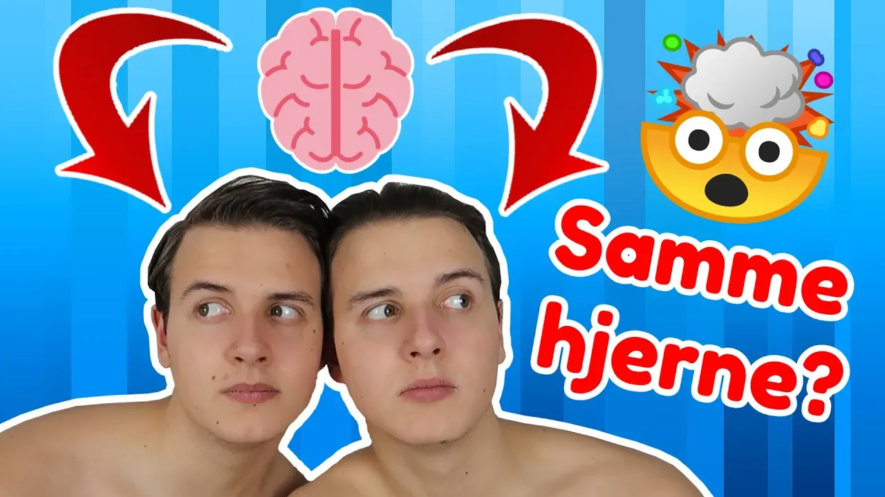 Har Vi Den Samme Hjerne!? (Tvillinge Tag)