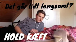 Den store Diskussion