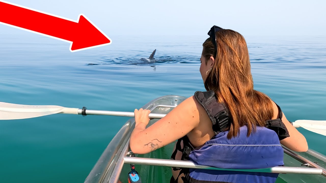 Her skal du IKKE bade i Dubai!