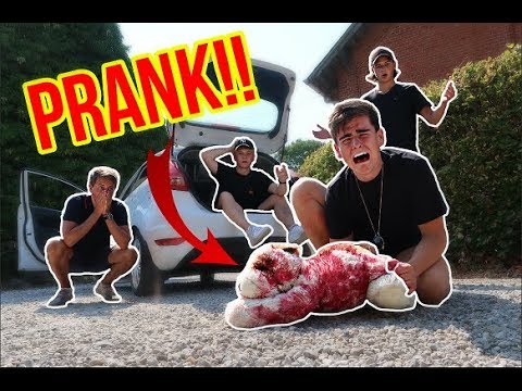 KØRER HUND OVER PRANK! (Går galt) m. Tobias Møller & Jeppe Ølgaard