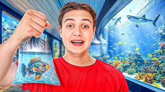 Vi køber VERDENS Flotteste FISK!!