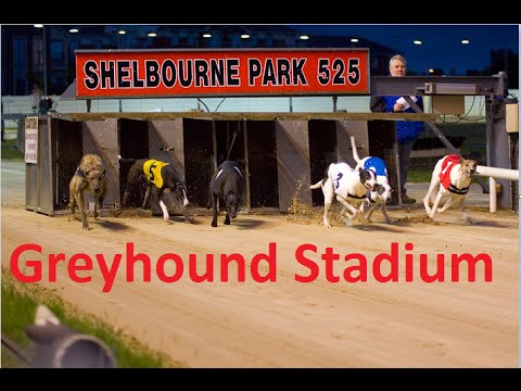 TUREN TIL DUBLIN! (Dag 2) Greyhound Stadium - Oskar Hole