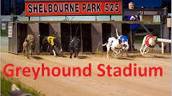 TUREN TIL DUBLIN! (Dag 2) Greyhound Stadium - Oskar Hole