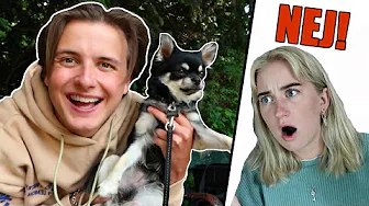 Jeg STJÆLER Loui fra JOS!! - Vlog M. Josefine Simone