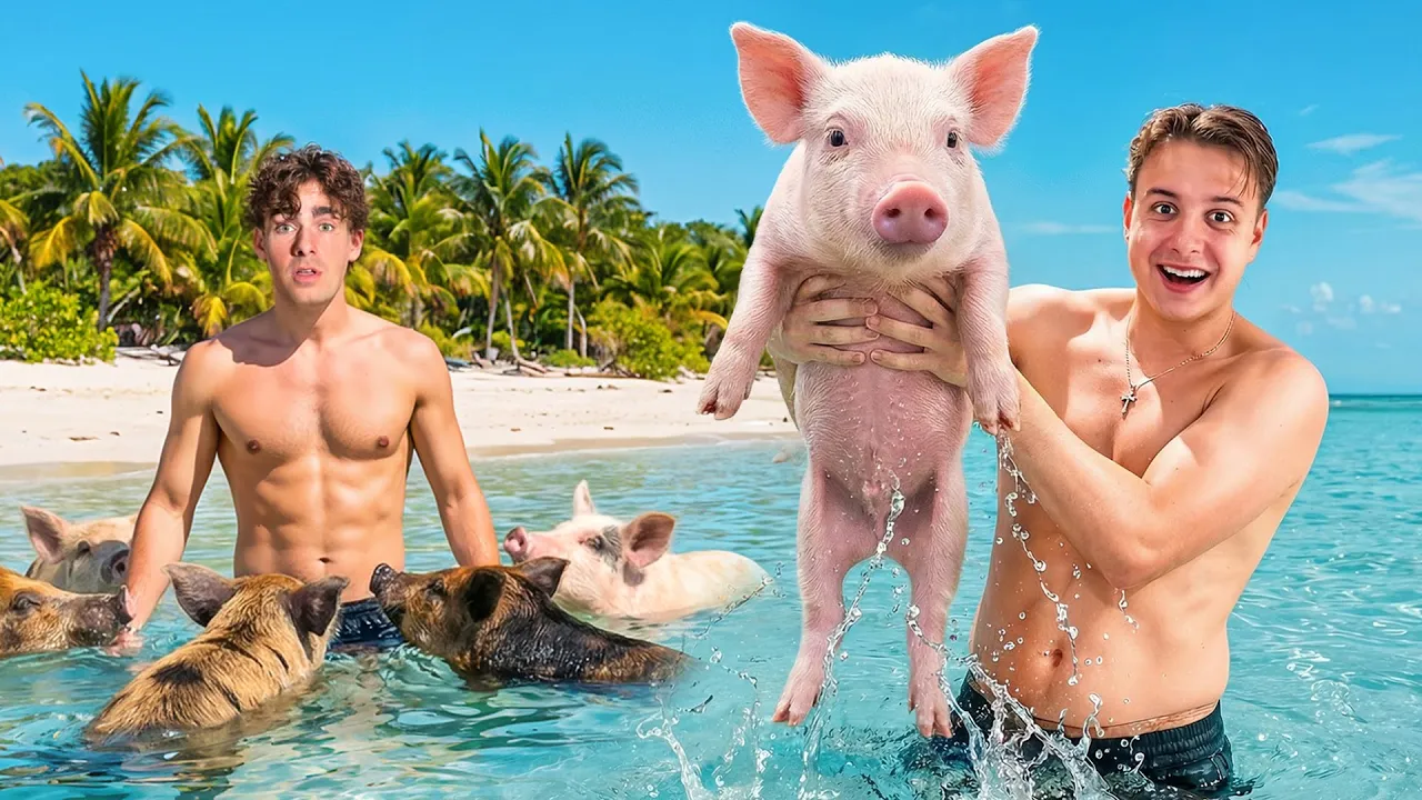 Svømmer med GRISE på Bahamas!! m. Jeppe Ølgaard