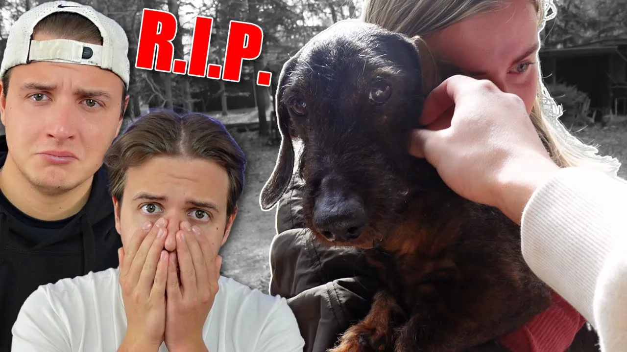 et sidste farvel til lille sorte Sambo... (Sort og Klam) VLOG