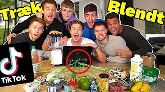 Random TIKTOK Smoothie CHALLENGE m Gutterne