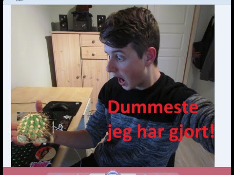 DET DUMMESTE JEG HAR GJORT! - Gribe en kaktus Tf. Oskar Hole