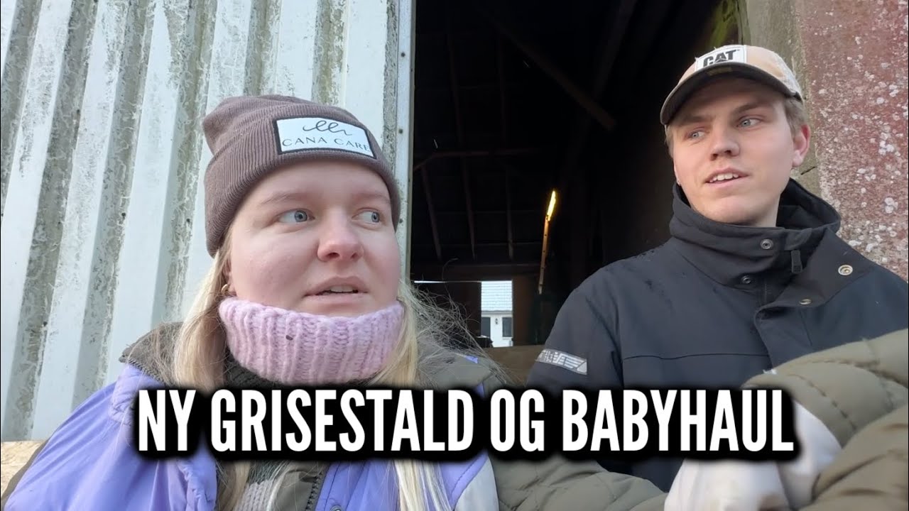 Ny grisestald og babyhaul | Livet på gården Ep. 35