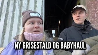 Ny grisestald og babyhaul | Livet på gården Ep. 35