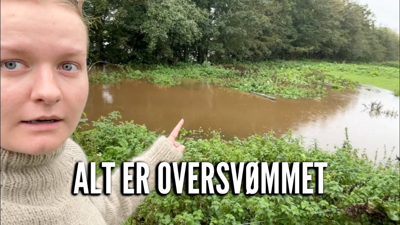Oversvømmelse og nyt badeværelse | Livet på gården Ep. 8