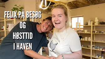 Felix på besøg og høsttid i køkkenhaven | Livet på gården Ep. 24