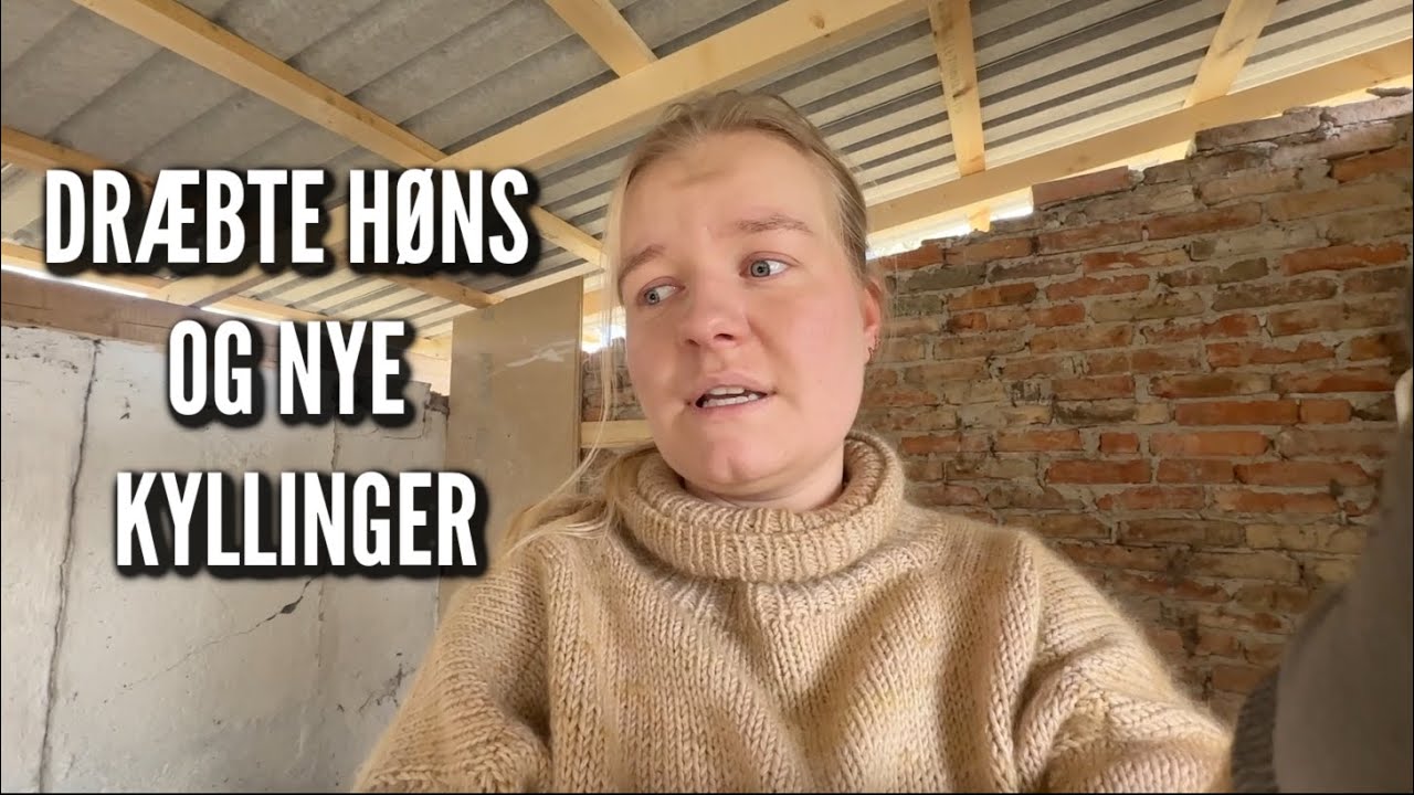 Måren har dræbt vores høns | Livet på gården Ep. 10