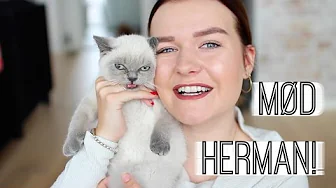 MØD HERMAN!