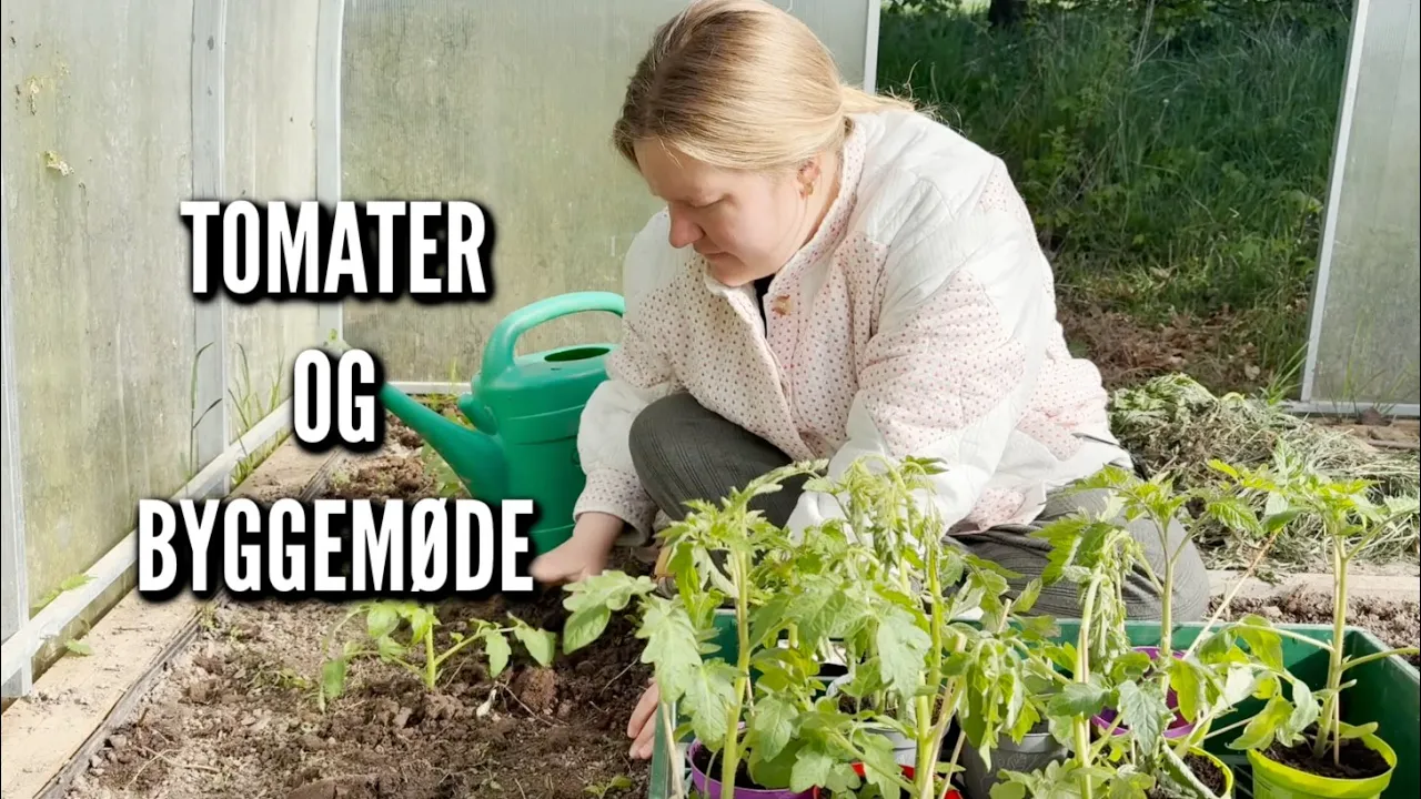 Tomater og byggemøde | Livet på gården Ep. 49