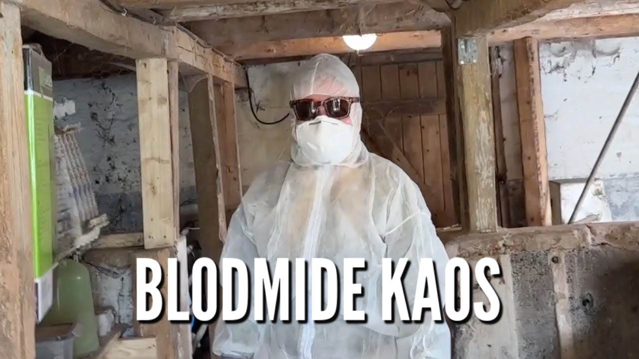 Kæmpe KAOS. Blodmider OVERALT! | Livet på gården Ep. 6