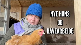 Nye høns og havearbejde | Livet på gården Ep. 11