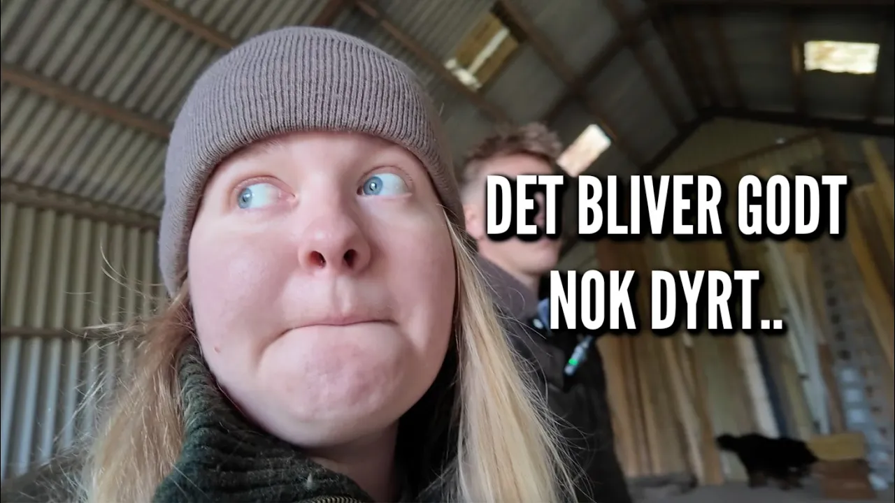 Oprydning, vores maskiner og planer for overetagen | Livet på gården Ep. 66