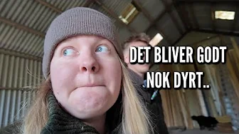 Oprydning, vores maskiner og planer for overetagen | Livet på gården Ep. 66