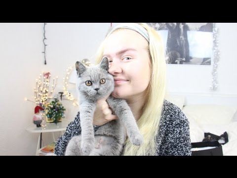 Kristine's Jul 2014, 3. December - My furry friend tag!