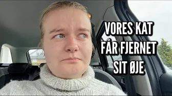 Vi skal have grise og Willy får fjernet sit øje | Livet på gården Ep. 13