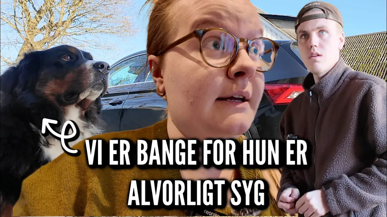 Carla er ved hjernedyrlægen og vi er rædselsslagne  | Livet på gården Ep. 74