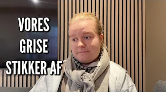 Vores grise stikker af | Livet på gården Ep. 31