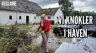 Tigerspring, hønsestatus og knoklearbejde | Livet på gården Ep. 58