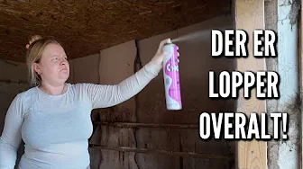 Hønsehuset er fyldt med lopper!! | Livet på gården Ep. 53