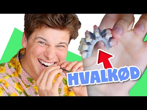 SPISER SÆL, NARHVAL & MARSVIN med min familie | Grønland vlog | Lakserytteren