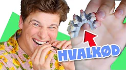 SPISER SÆL, NARHVAL & MARSVIN med min familie | Grønland vlog | Lakserytteren