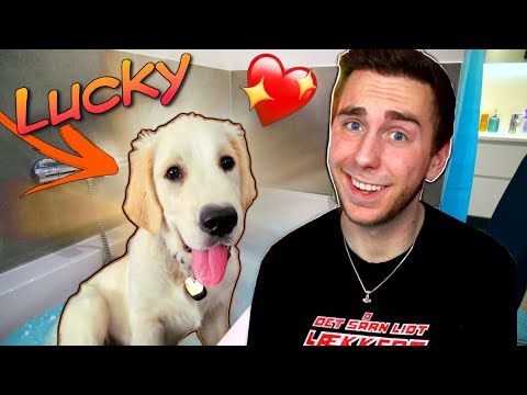 Mød min SØDE HUNDEHVALP 🐶 (Hvalpens første bad)