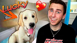 Mød min SØDE HUNDEHVALP 🐶 (Hvalpens første bad)