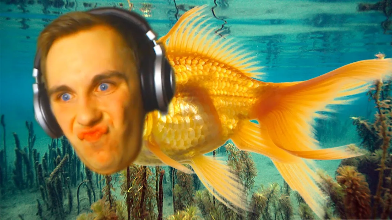 Lasse er en NUMSEFISK | Fishy