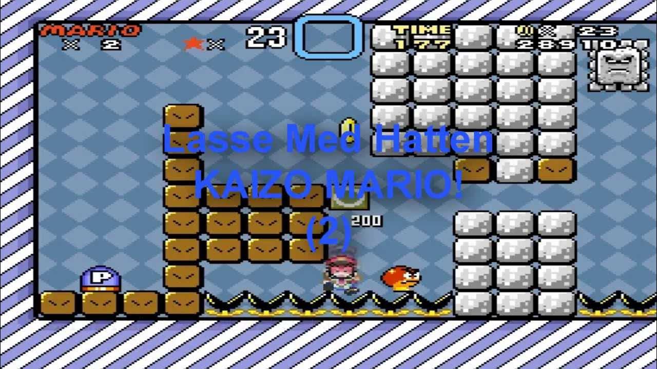 DELFIN RIDNING?! Dansk Kaizo Mario (Del 2)!